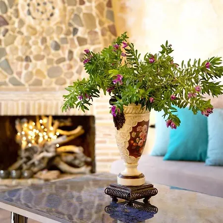 Villa Cana - Rustic In Nature With Terrace